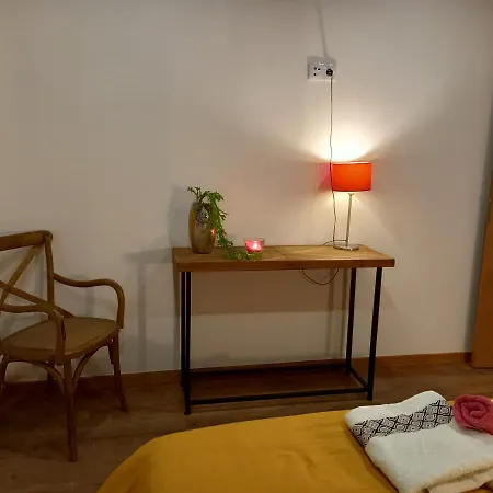 Passadicos Do Paiva Suites Guest house